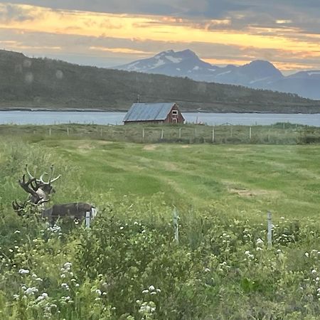 Vila Hos Laura & Valdemar Nord-Lenangen Exteriér fotografie
