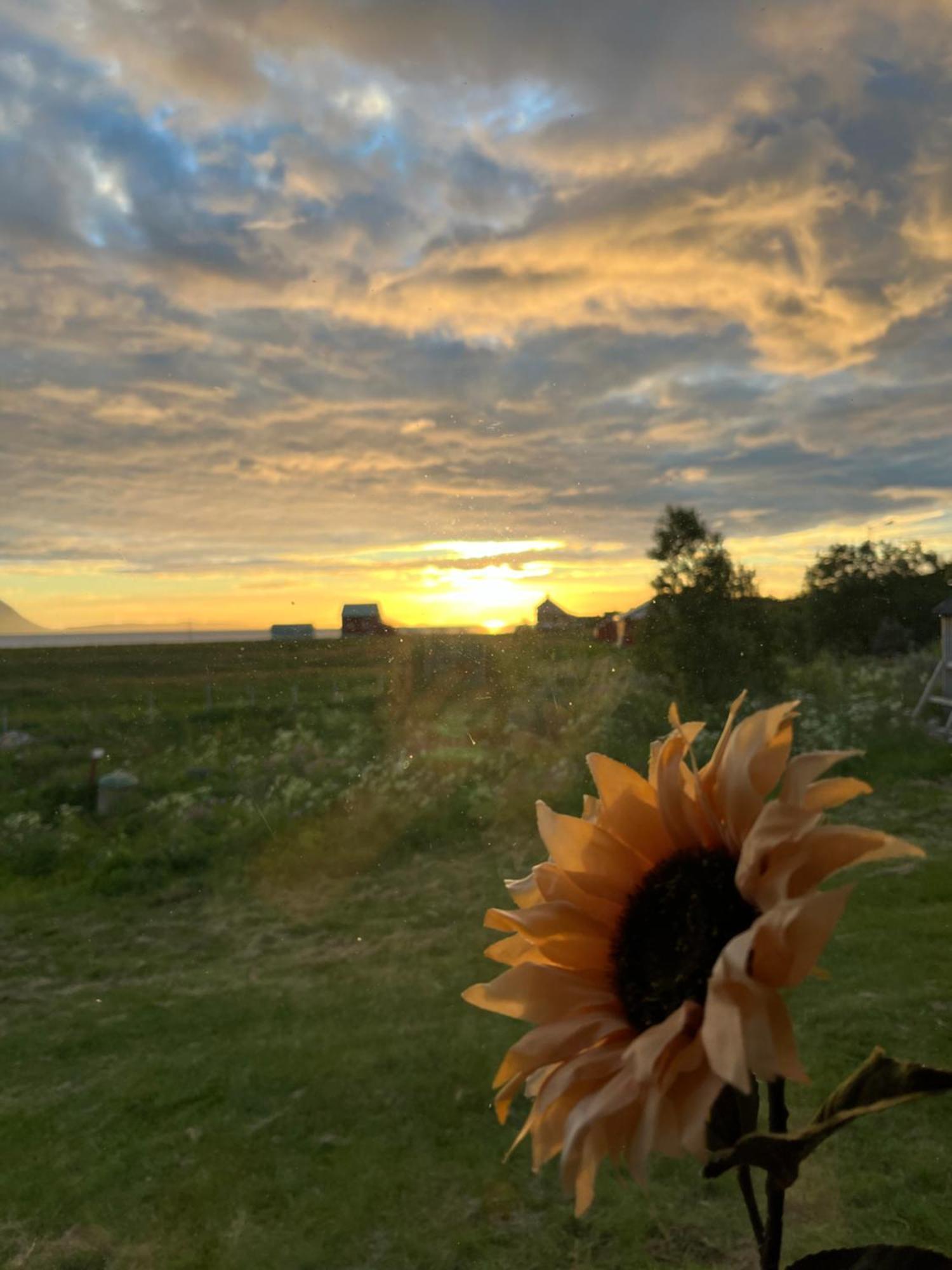 Vila Hos Laura & Valdemar Nord-Lenangen Exteriér fotografie