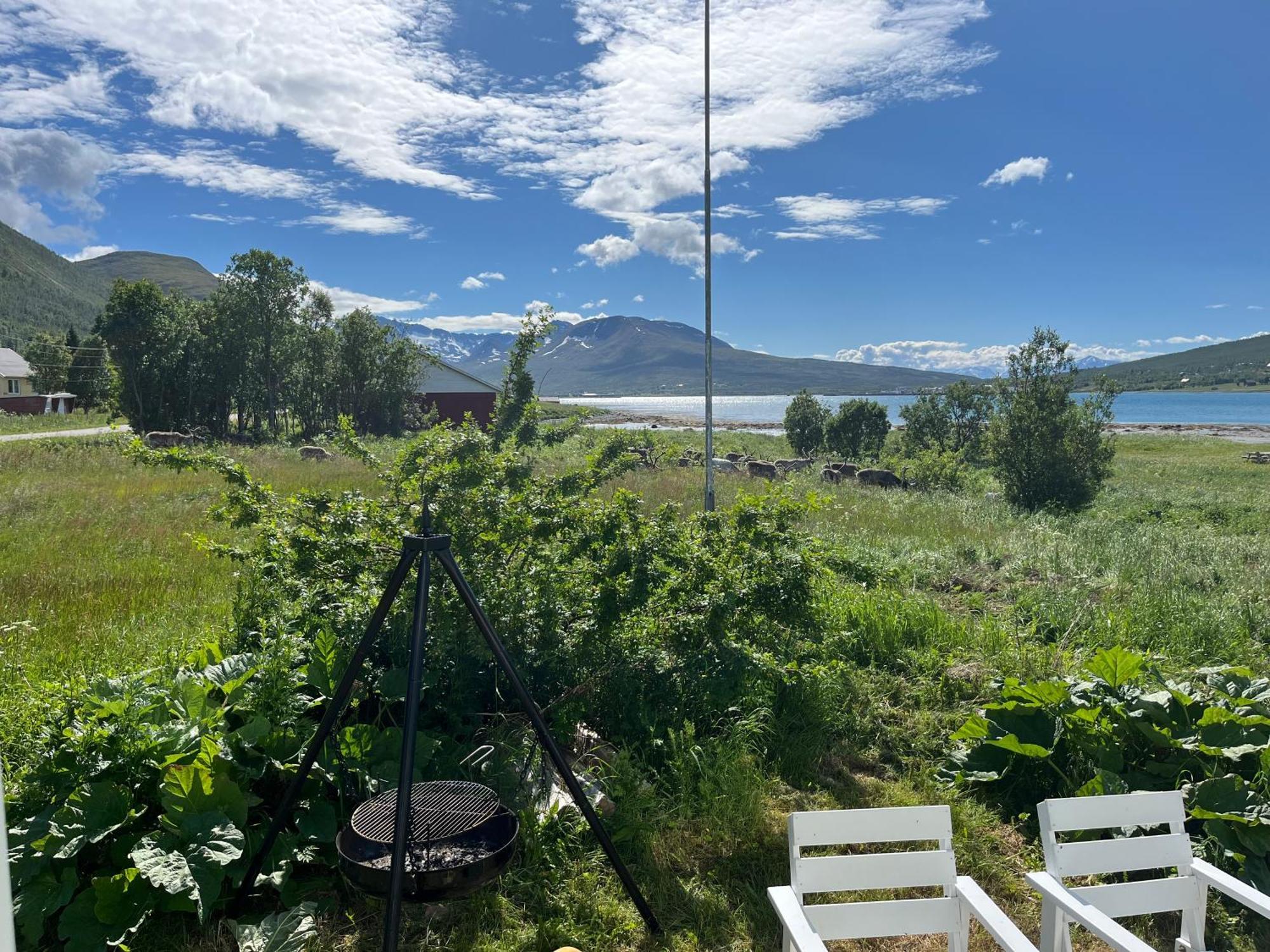 Vila Hos Laura & Valdemar Nord-Lenangen Exteriér fotografie